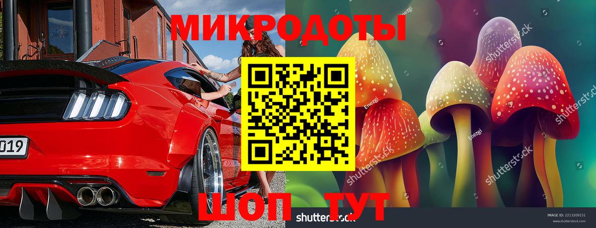 Псилоцибиновые грибы прущие грибы Владивосток